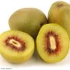 Kiwi - Actinidia Deliciosa Kiwi Wonder -Boutique De Plantes Actinidia deliciosa Wonder 84702 1