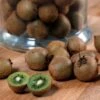 Kiwi Jenny (autofertile) - Actinidia Deliciosa -Boutique De Plantes Kiwi Jenny autofertile 78130 1